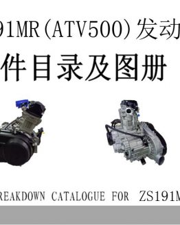 Motor ( ATV500 ) ZS191MR ENGINE